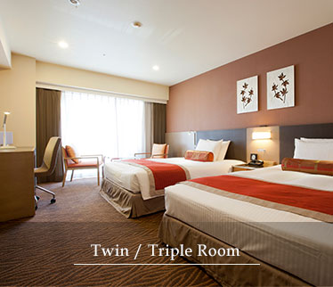 Twin/Triple Room