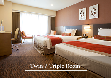 Twin/Triple Room