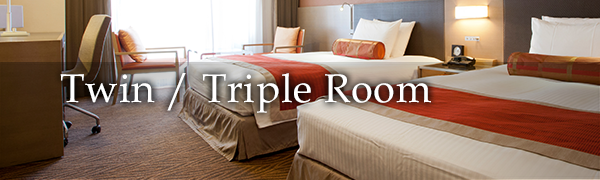 Twin/Triple Room