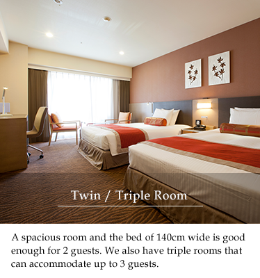 Twin/Triple Room